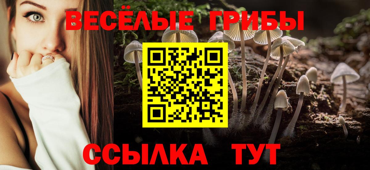 Галлюциногенные грибы GOLDEN TEACHER  Вход с VPN  Кимовск 