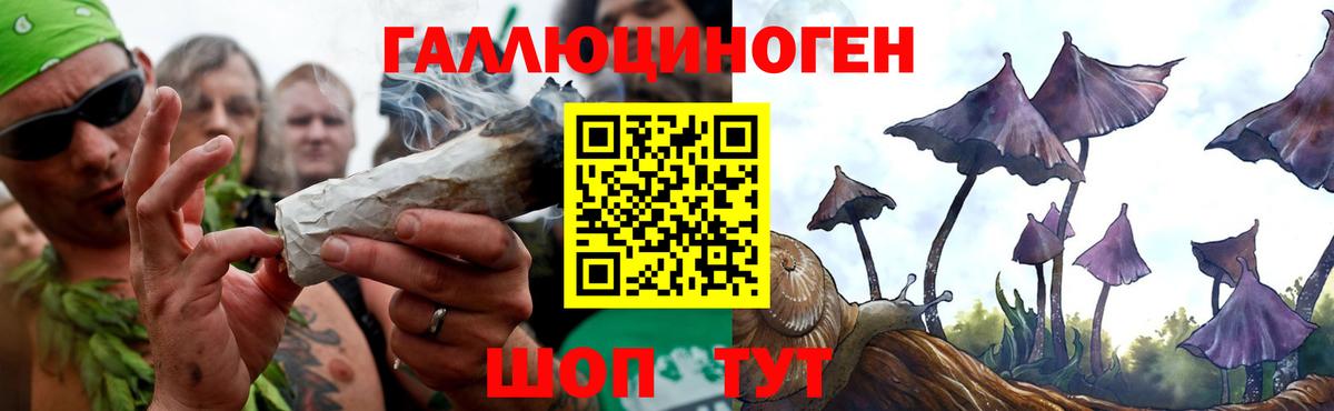 Псилоцибиновые грибы мухоморы Кимовск